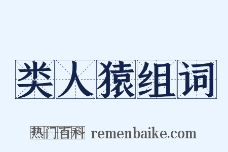 类人猿组词是什么意思的图片